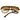 Vento Retro-Style Sunglasses for Classic Fashion Enthusiasts - Glasses Case